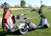 14 STX - Fat Tire "Cruiser 3.0" Golf Scooter - EliteCore Athletics