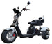 14 STX - FAT TIRE Rebel Trike Golf Scooter - EliteCore Athletics
