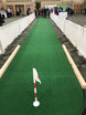 Big Moss Long Putt 60ft Indoor Putting Green - EliteCore Athletics