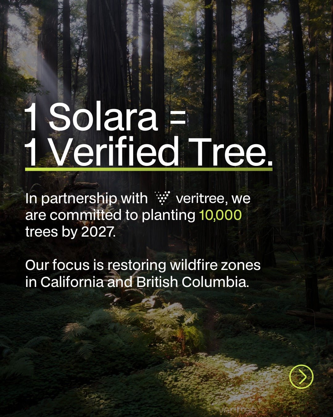 SaunaBox® Solara 2-Person: Full Spectrum Infrared Sauna - EliteCore Athletics